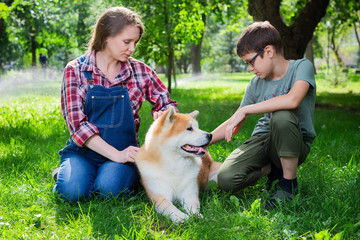 Beautiful pregnant woman in blue denim overalls with her son and Japanese dog Akita inu in the park