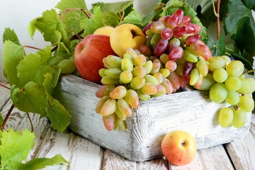 Organic fruits in a wooden crate. Bunches of ripe grapes and apples. Summer fruit harvest