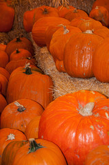 Pumpkins
