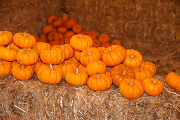Pumpkins