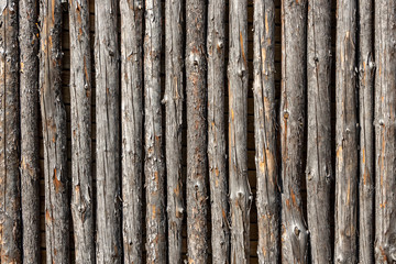 Beautiful texture of old brown and gray pine trunks fence with knots and resin and bark is in the photo