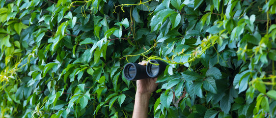 man looks through binoculars in the leaves