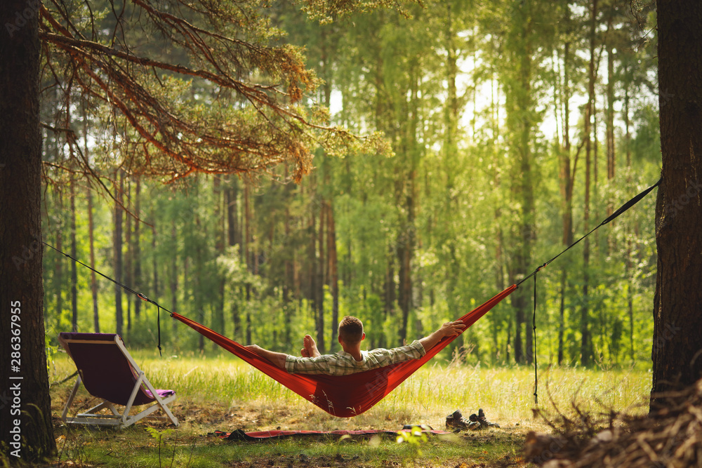 Wall mural man resting at hammock in the middle of the pine forest.