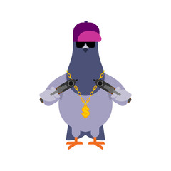 Pigeon gangster. Cool City bird. SWAG gangsta. Pigeon guy rapper