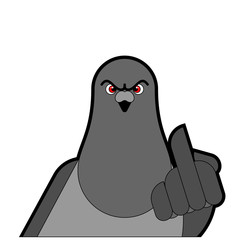 Pigeon shows fuck. Angry dove. Aggressive City Bird. vector illustration