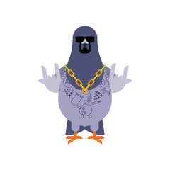 Pigeon gangster. Cool City bird. SWAG gangsta. Pigeon guy rapper