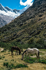 Santa Cruz Trek in Huscaran National Park in the Cordillera Blanca in Northern Peru 