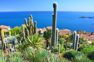 Jardin de cactus exotiques à Eze, France