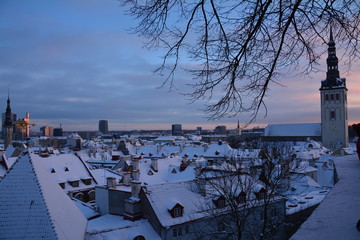 Vieille Ville Tallinn Estonie Hiver