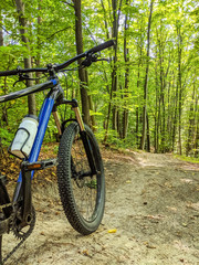 Fototapeta premium MTB bicycle on the trail in the summer season