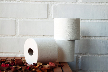 White toilet paper rolls and other home related objects against a white wall. Copy space.