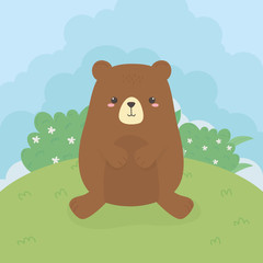 Obraz na płótnie Canvas cute bear teddy wild character