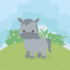 cute horse animal farm character