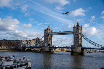 Fototapeta na wymiar Ptak nad mostem