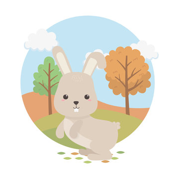 cute rabbit animal farm character