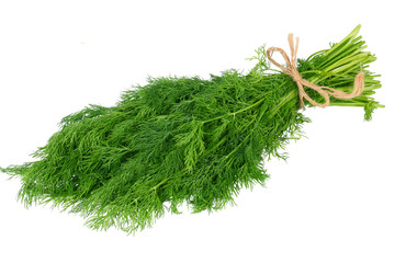 bunch of dill isolated on white background