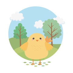 Fototapeta premium cute chick animal farm character