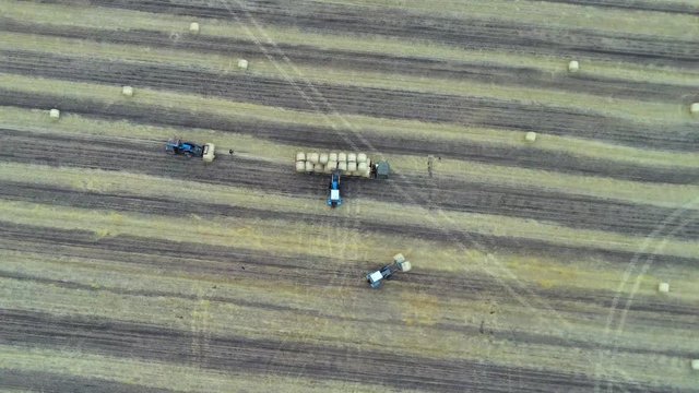 Aerial: Haymaking. Tractor collecting round bales of hay and loaded to truck. Agricultural Footage On the Field.