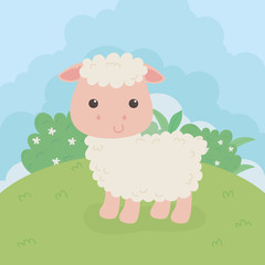 cute sheep animal farm character