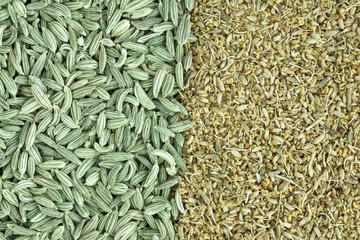 Fennel Seeds and Pollen
