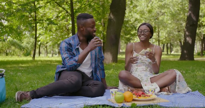 Beautiful Young Couple Having Picnic in Countryside