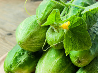 Green cucumbers lie next to the table