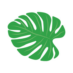 Trendy palm, great design for any purposes on white background. Floral illustration. Exotic forest tree. Vector floral design card. Botanical drawing. Natural backdrop. Vector illustration template.