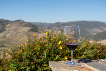 Glass of red wine or port for tasting above the hillsides of the Douro valley in Portugal
