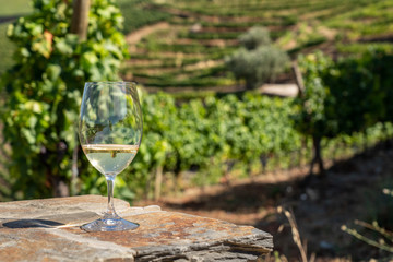 Glass of white wine for tasting above the hillsides of the Douro valley in Portugal
