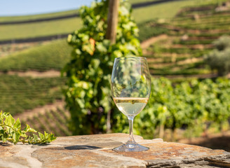 Glass of white wine for tasting above the hillsides of the Douro valley in Portugal
