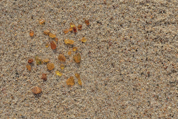 Small pieces of amber on a sandy beach of the Baltic Sea close-up. Natural background