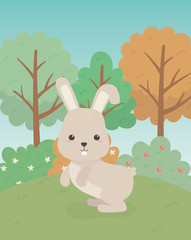 cute rabbit animal farm character