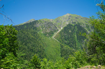 Fototapeta na wymiar Beautiful view of alpine meadows in the Caucasus mountains