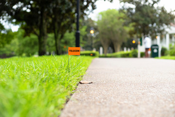 Telecommunication, communication, alarm, signal cables, conduit line survey marking stake flag buried underground utility 