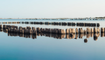 wooden columns in a calm surface of the water