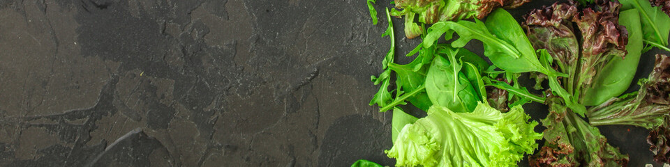 Healthy salad, leaves mix salad (mix micro greens, juicy snack). food background - Image. copy space