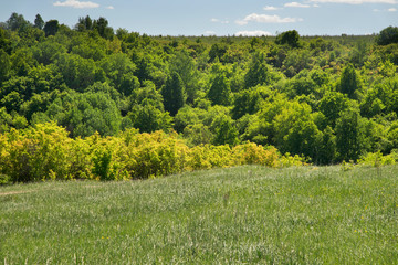 Landscape near Yelets. Lipetsk region. Russia