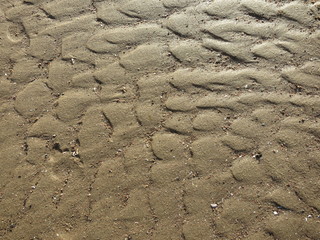 Sand texture after waves