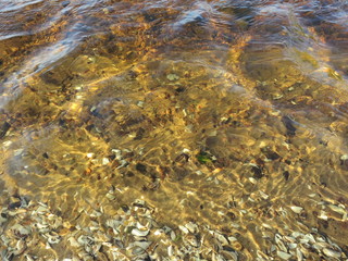 Transparent river with a beautiful bottom