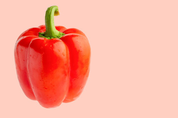 red bell pepper or paprika isolated on a pink background, for design