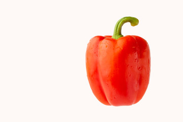 red bell pepper or paprika isolated on a white background, for design
