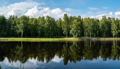 Fototapeta na wymiar green nature in karlstad sweden, tree refection in the river sourrounded by green nature