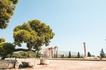 Obraz premium Temple of Olympian Zeus (Olimpeion), Athens