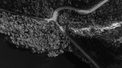 Two path intersecting in the middle of forest, shot from above, black and white.