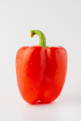 red bell pepper or paprika isolated on a white background, for design