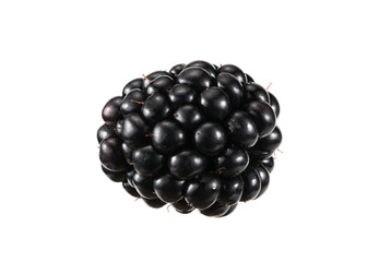blackberry on a white background