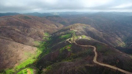 Aerial. Portuguese forest Monchique, after the fires view from the sky.
