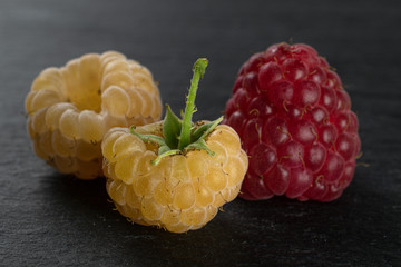 Group of two whole small fresh golden hymalayan raspberry with one red berry on grey stone