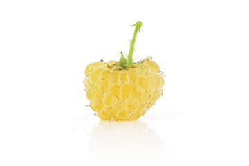 One whole fresh golden hymalayan raspberry with a stem isolated on white background
