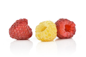 One whole fresh golden hymalayan raspberry with two red berries isolated on white background